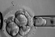 试管婴儿可以冷冻多久？试管婴儿冷冻胚胎的好处与坏处是什么？