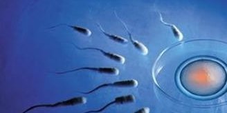 32岁可以做婴儿试管吗？32岁女性试管成功率为50E岁还能做婴儿试管吗？45岁高龄建议做第三代试管婴