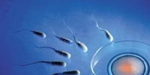 海南有哪些私立机构可以做试管婴儿？靠谱吗？